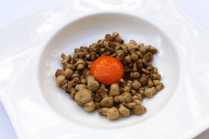 Perrechicos salteados