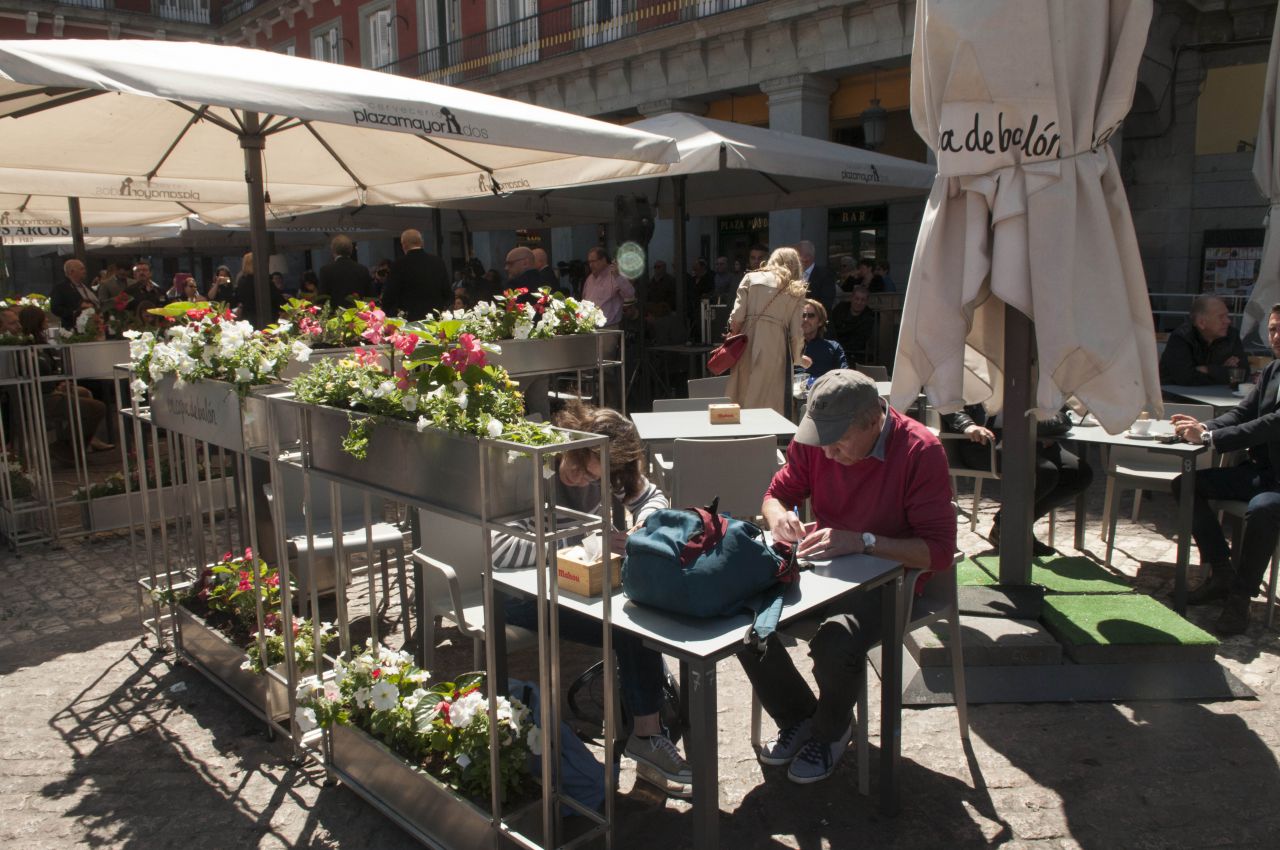 Que la Plaza Mayor tenga de nuevo árboles y plantas 