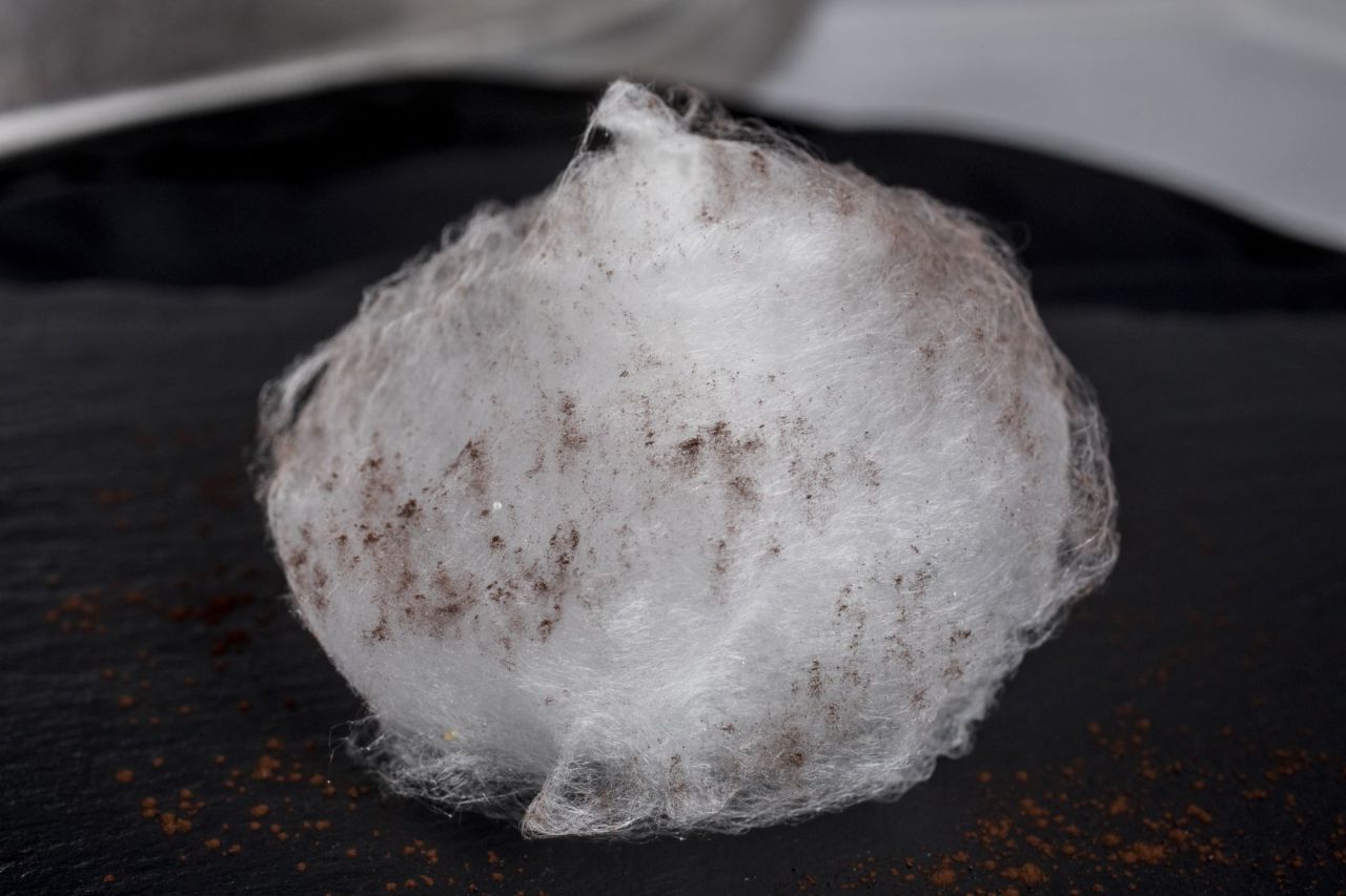 El pre postre se materializa en un Algodón de azúcar con cacao, una simulación de la asombrosa capacidad de Zurbarán para recrear las texturas en un cordero merino,  en una de sus obras más emocionantes, Agnus Dei