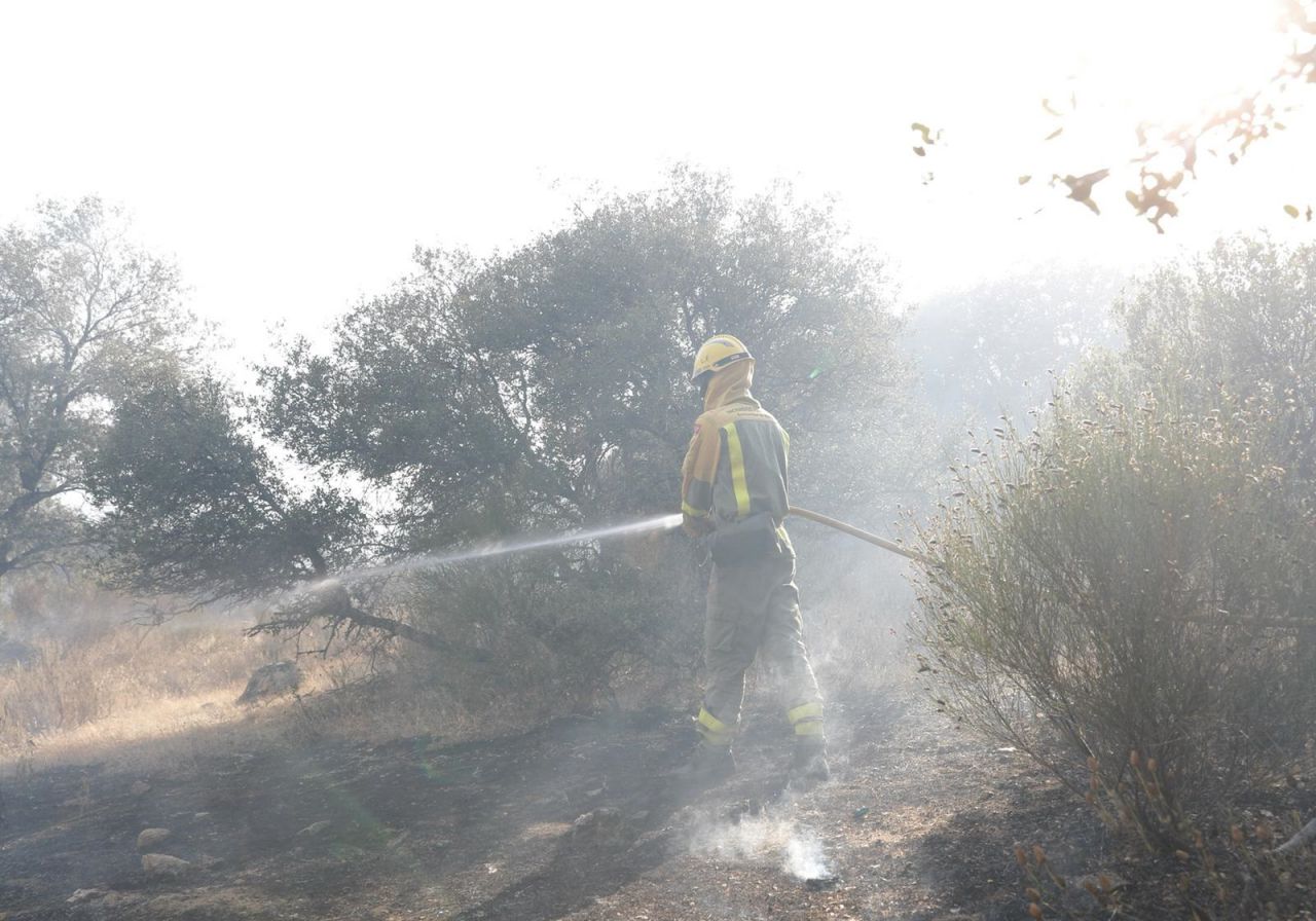 Los bomberos trabajan directamente en las zonas con mayor peligro.