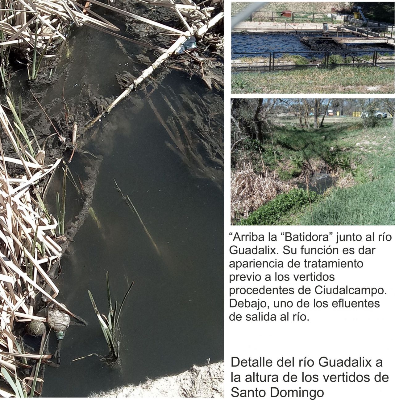Vertidos contaminantes en el río Guadalix.