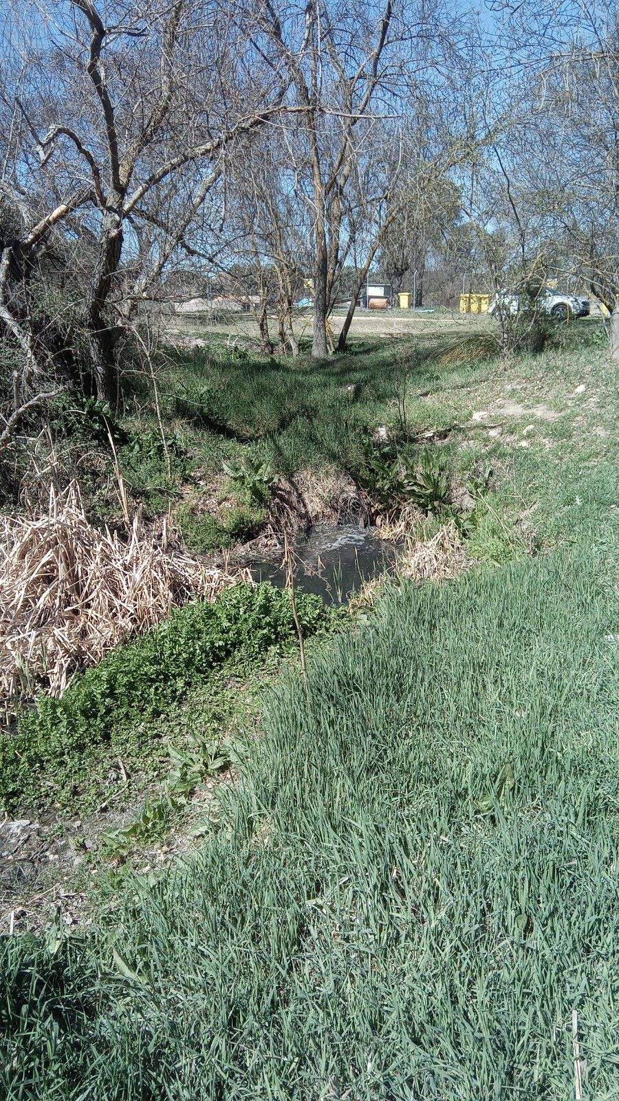 Vertidos contaminantes en el río Guadalix.