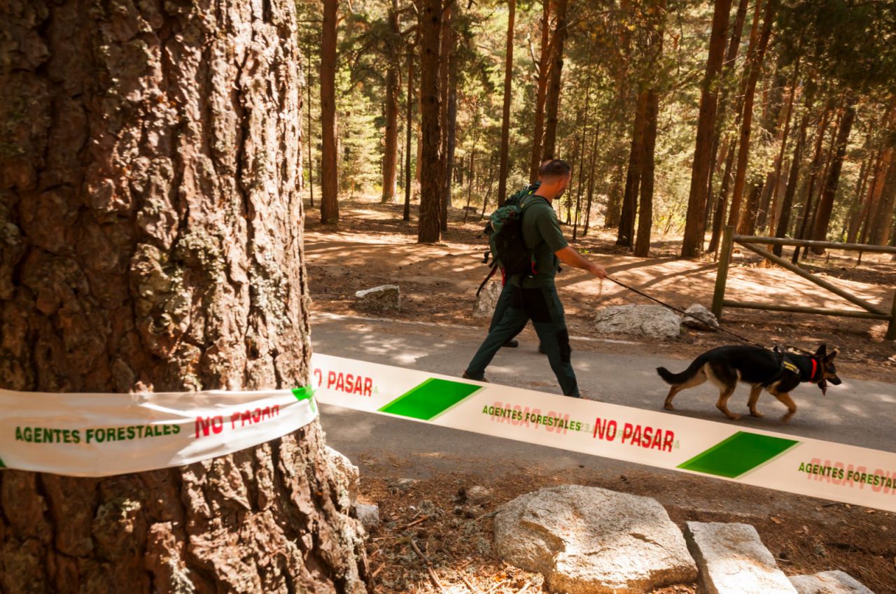 Búsqueda de Blanca Fernández Ochoa en Cercedilla.