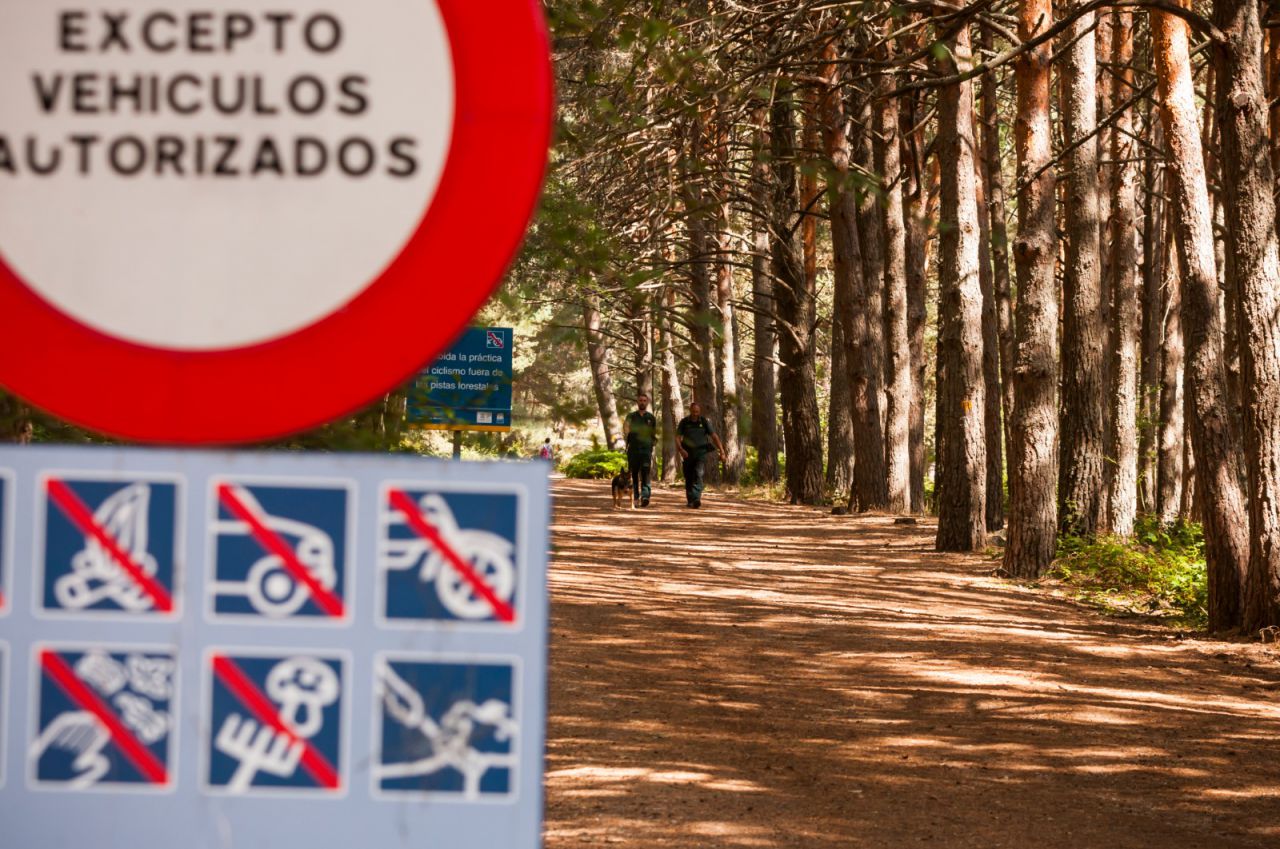 Búsqueda de Blanca Fernández Ochoa en Cercedilla.