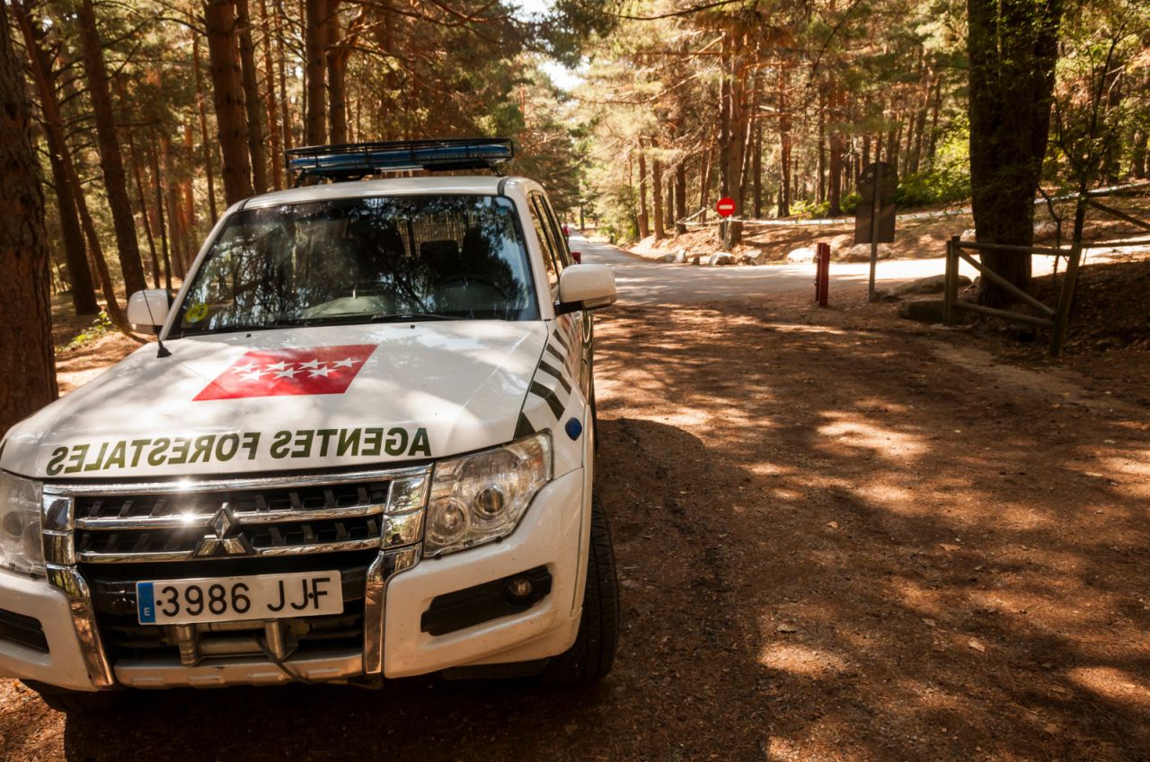 Búsqueda de Blanca Fernández Ochoa en Cercedilla.