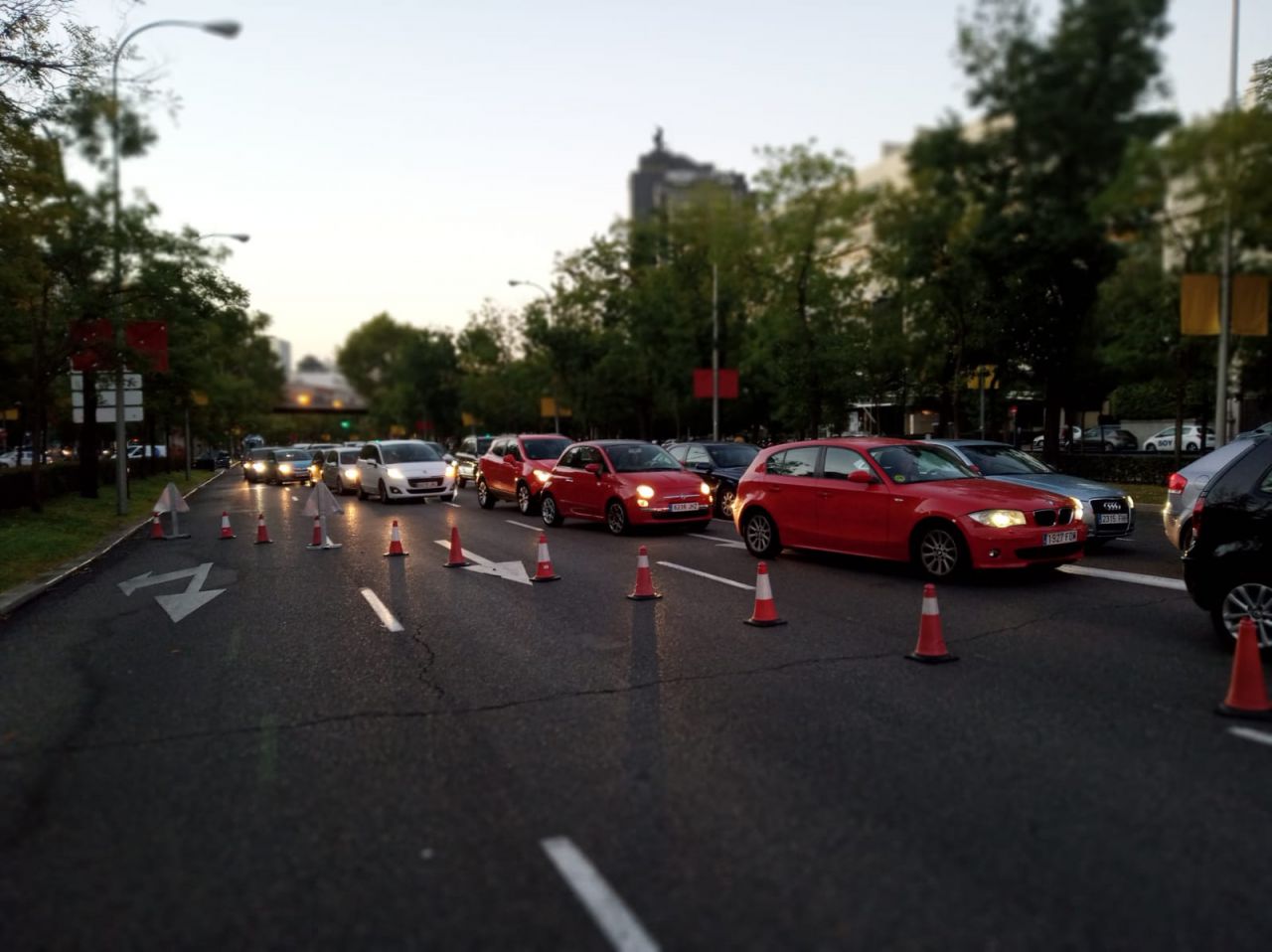 La caída de un árbol de 15 metros provoca el corte del tráfico en el Paseo de la Castellana.