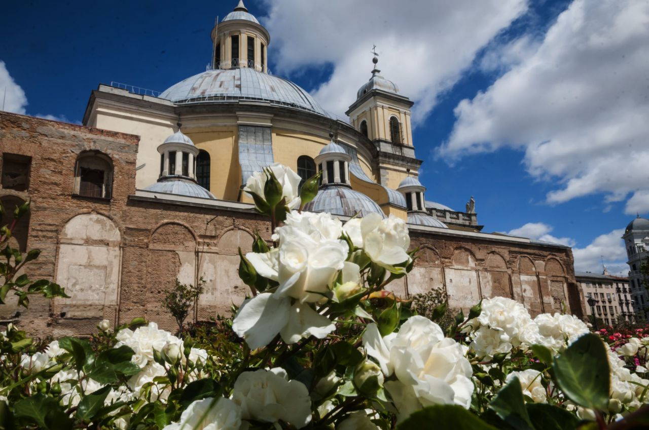 Flores,rosas,gente ve, este año