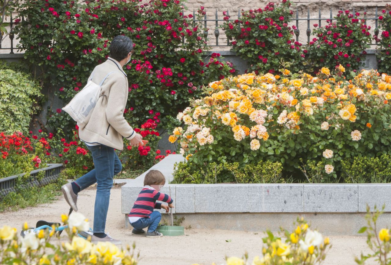 Flores,rosas,gente ve, este año