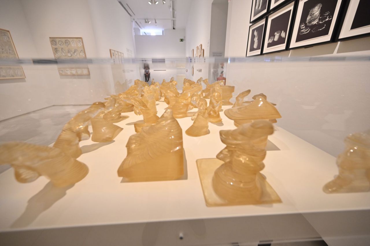 Exposición.Arte