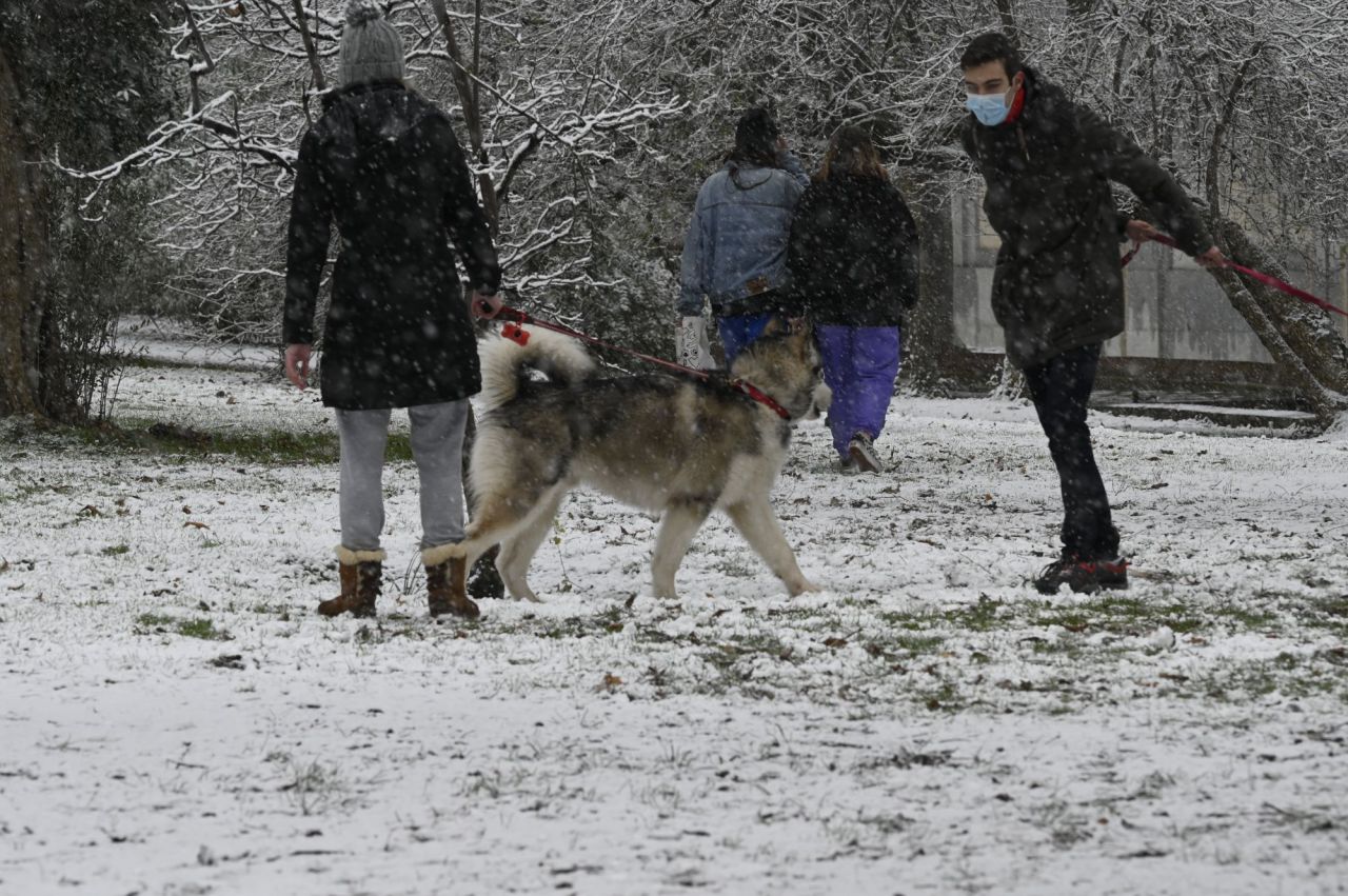 Nevada en Madrid