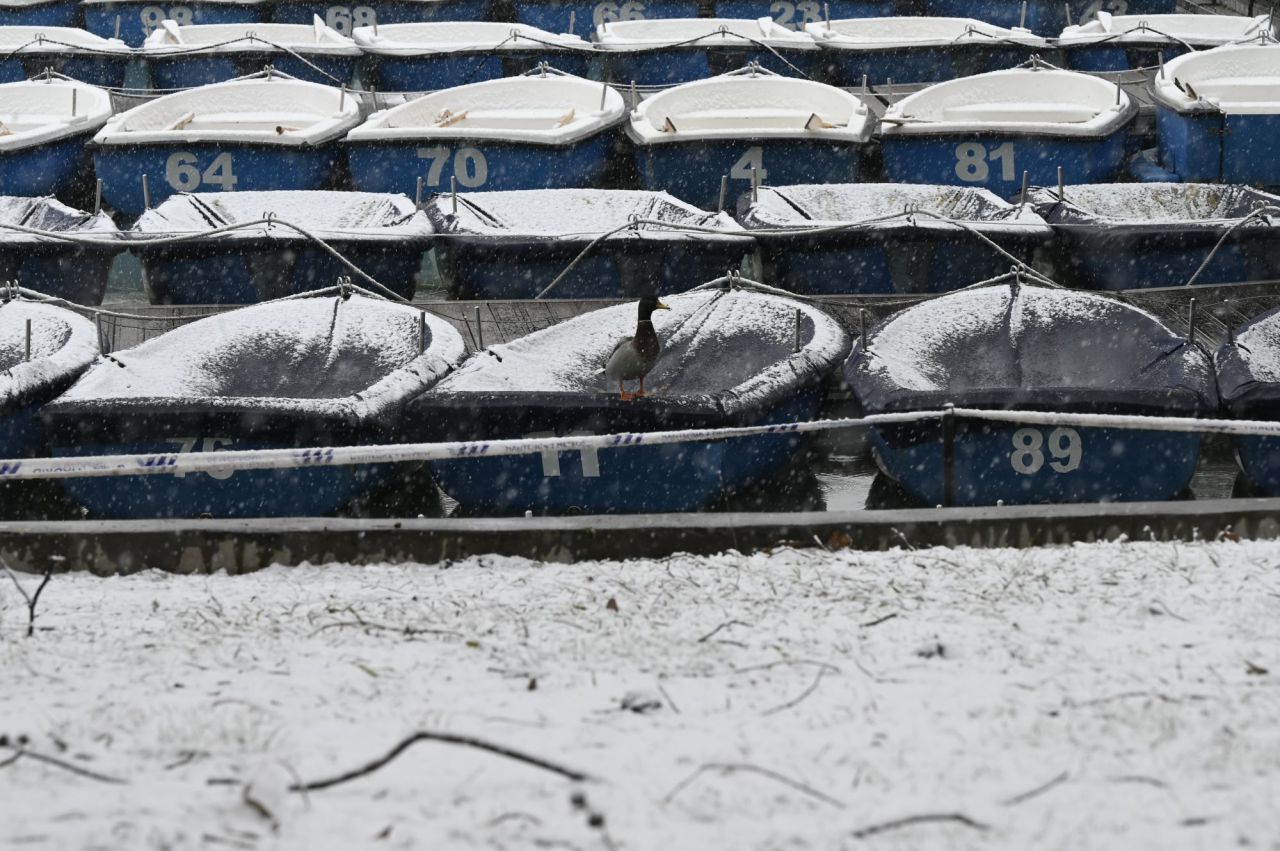 Nevada en Madrid