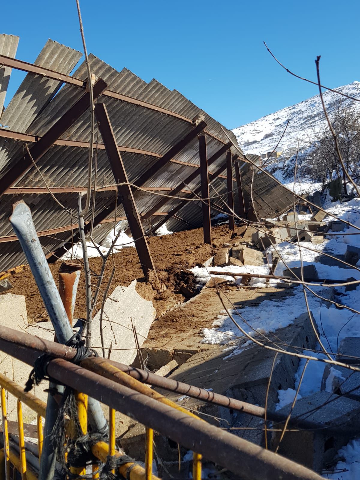 Filomena deja sin comer a más de 500 animales, derrumba naves y hunde invernaderos