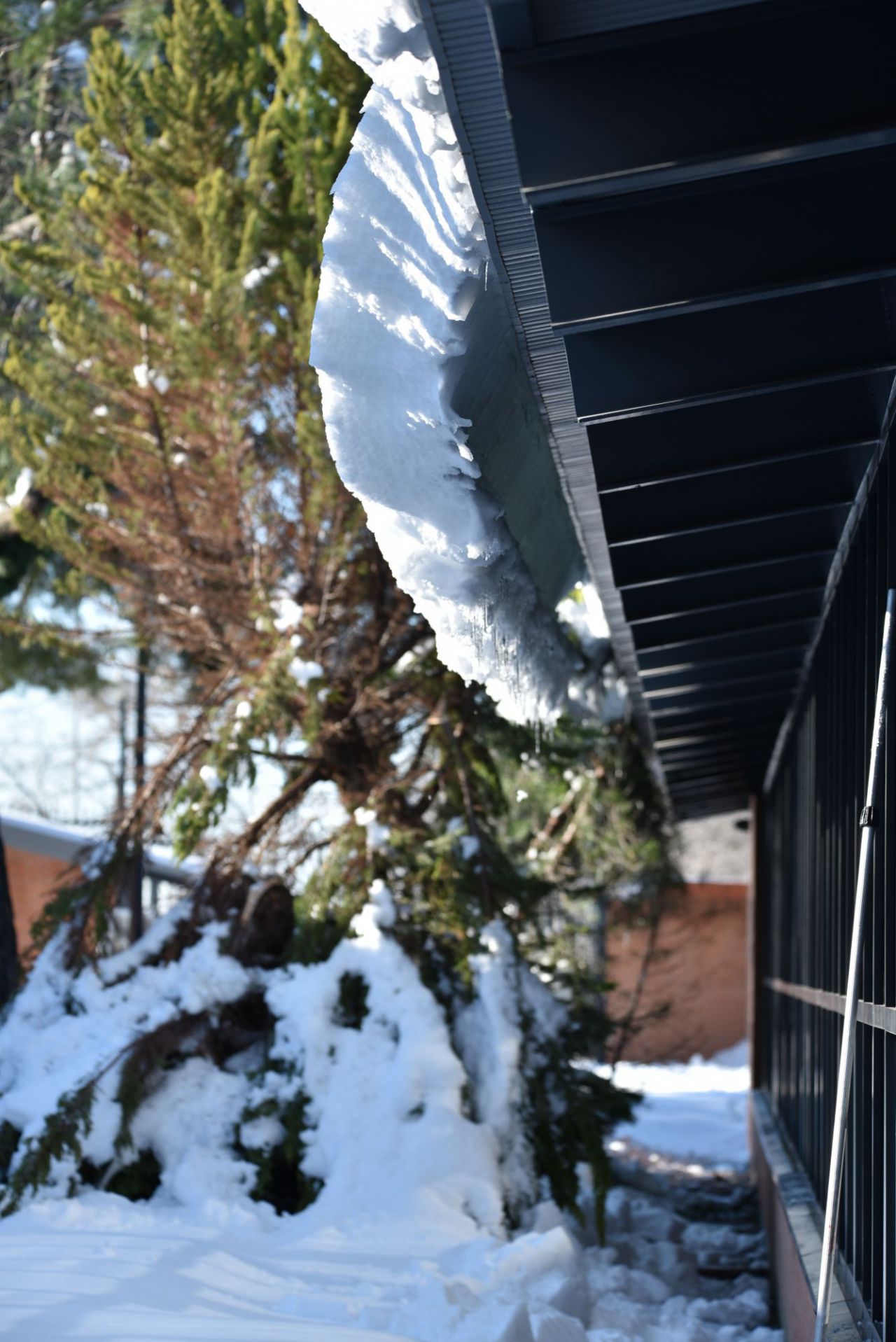 El Colegio Tajamar organiza cuadrillas de profesores y padres para limpiar de nieve los accesos al centro