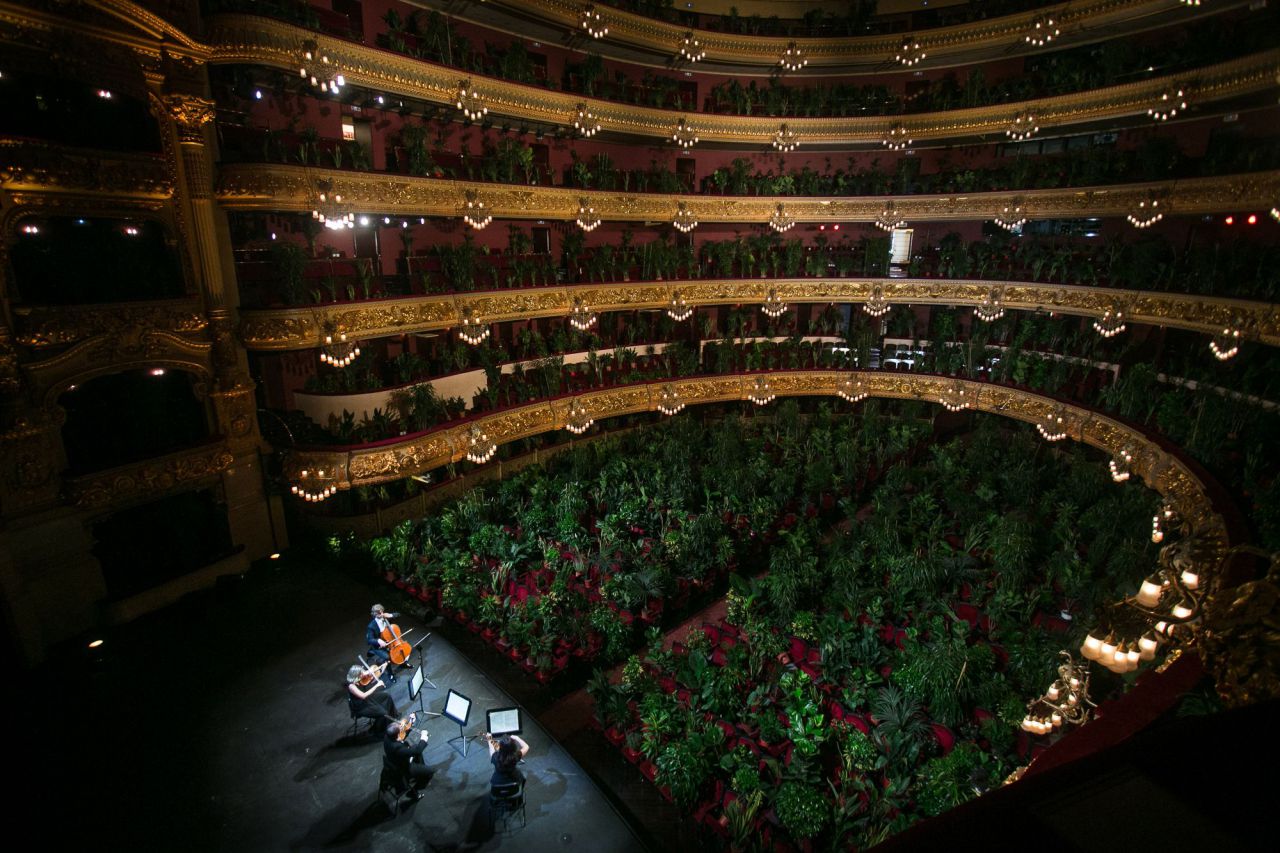 Concierto en el Gran Teatre del Liceu de Barcelona con más de dos mil plantas como únicos espectadores tras la finalización del estado de alarma declarado para controlar la pandemia. Las plantas utilizadas en la creación artística, serán donadas a los sanitarios del Hospital Clinic de Barcelona, 22 de junio, 2020.