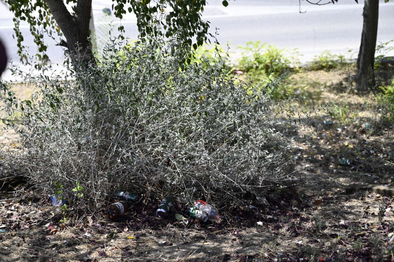 Vecinos de Vicálvaro se quejan de la presencia de ratas en la zona