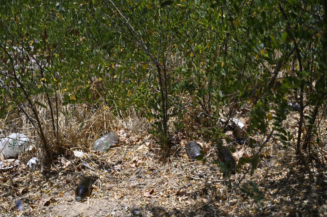 Vecinos de Vicálvaro se quejan de la presencia de ratas en la zona