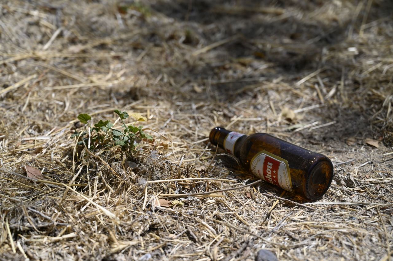 Vecinos de Vicálvaro se quejan de la presencia de ratas en la zona
