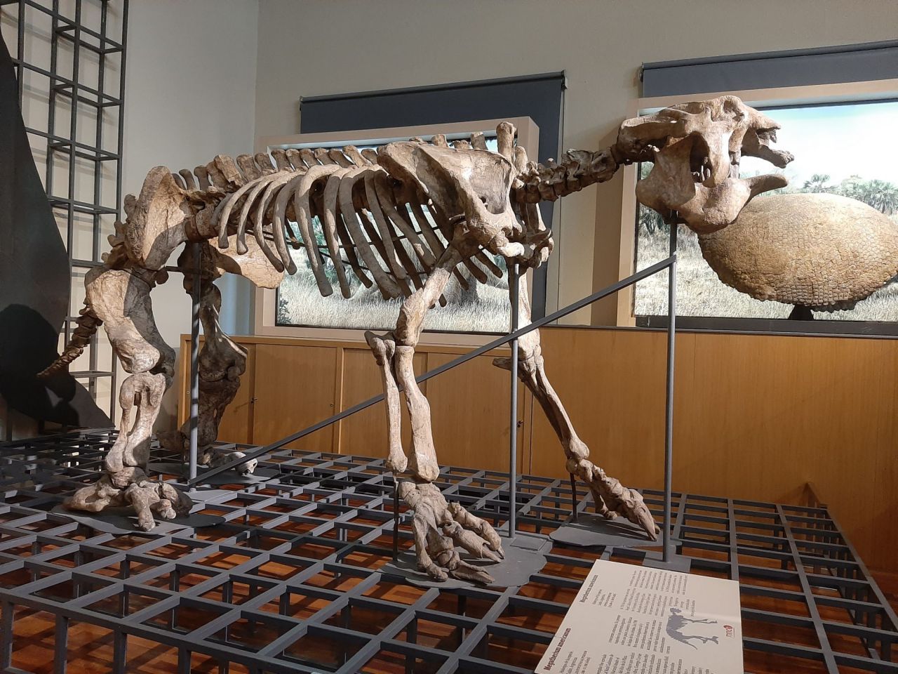 Una de las maquetas del Museo de Ciencias Naturales