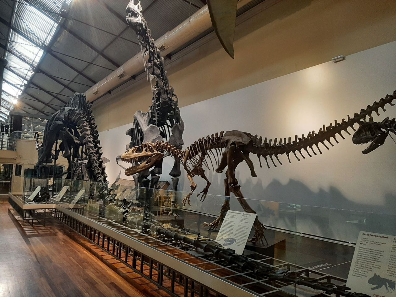 Maquetas del Museo de Ciencias Naturales