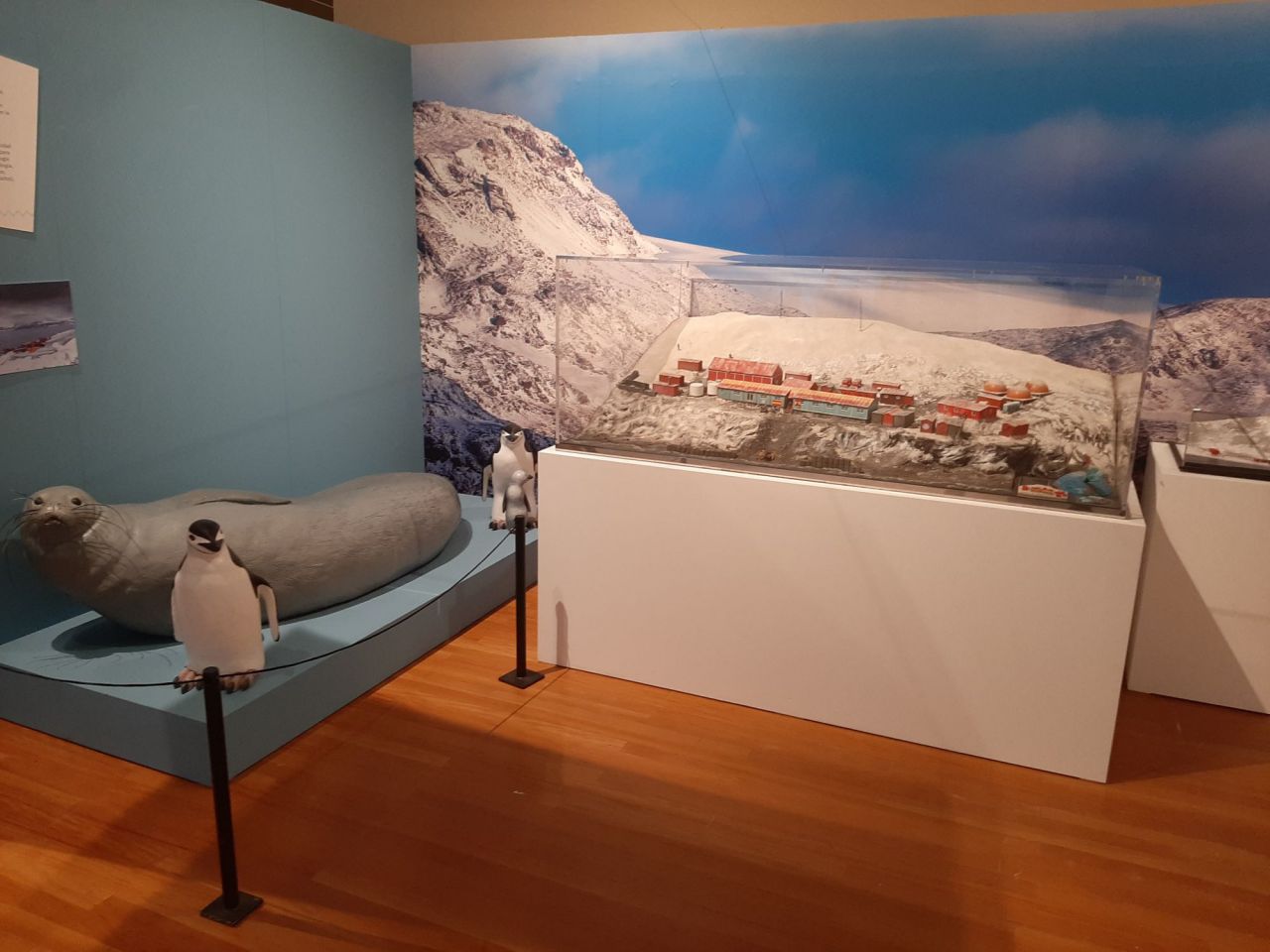 Exposición 'El Museo en la Antártida'