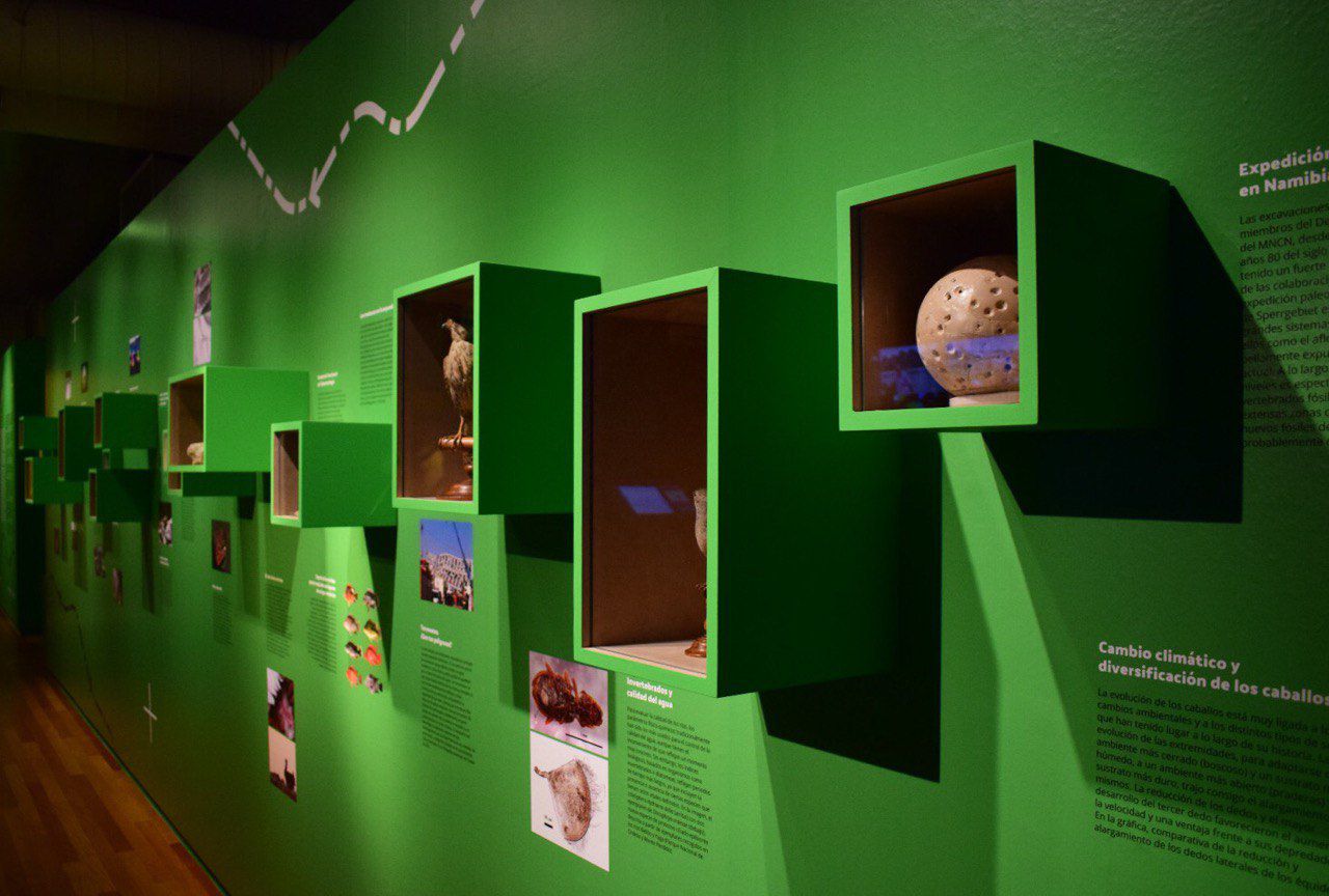 'Un viaje fascinante de 250 años'
