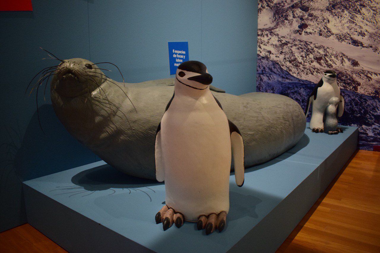 'El Museo en la Antártida'