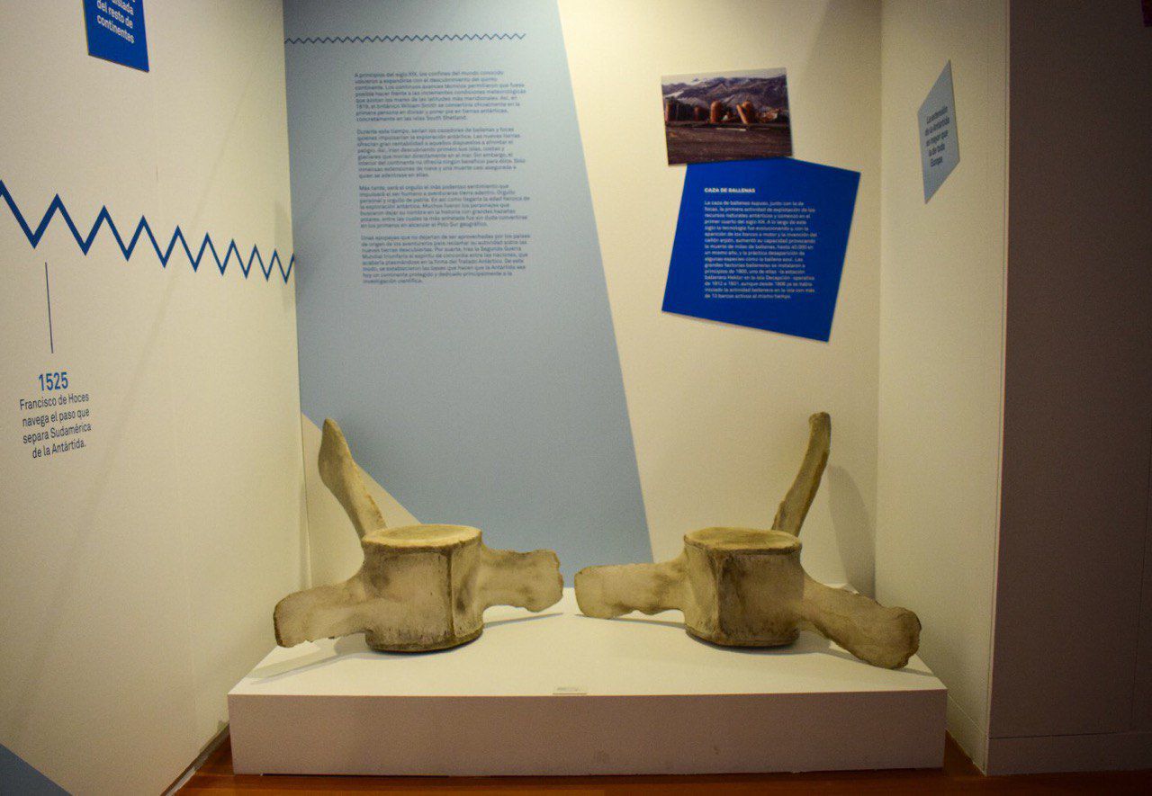 'El Museo en la Antártida'