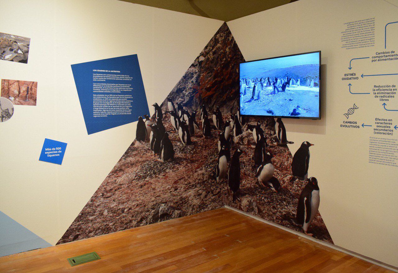 'El Museo en la Antártida'