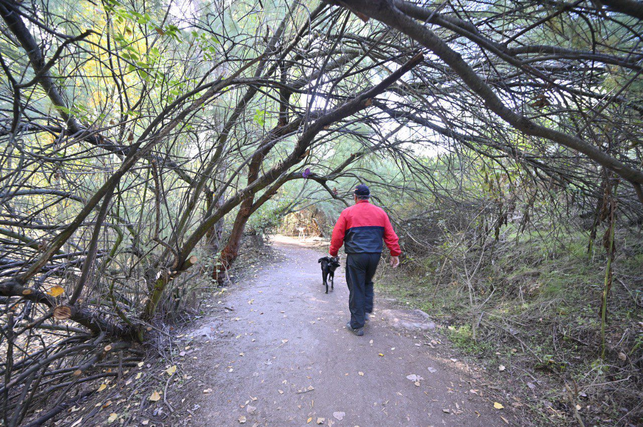 Parque La Senda Mágica de Arroyomolinos
