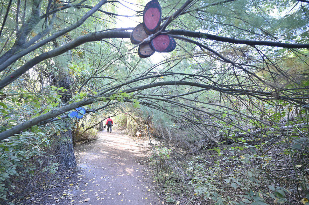 Parque La Senda Mágica de Arroyomolinos