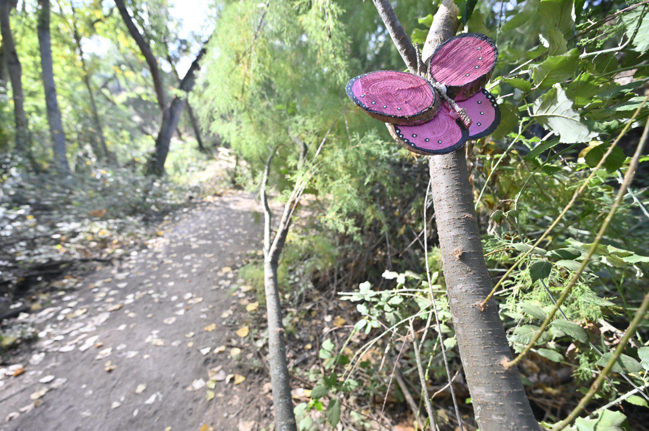 Parque La Senda Mágica de Arroyomolinos
