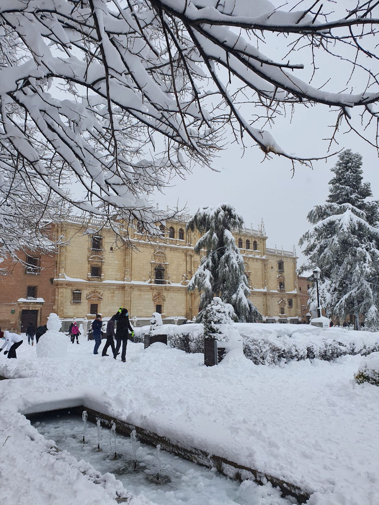 Foto de Paquita Castellanos de la Universidad de Alcalá