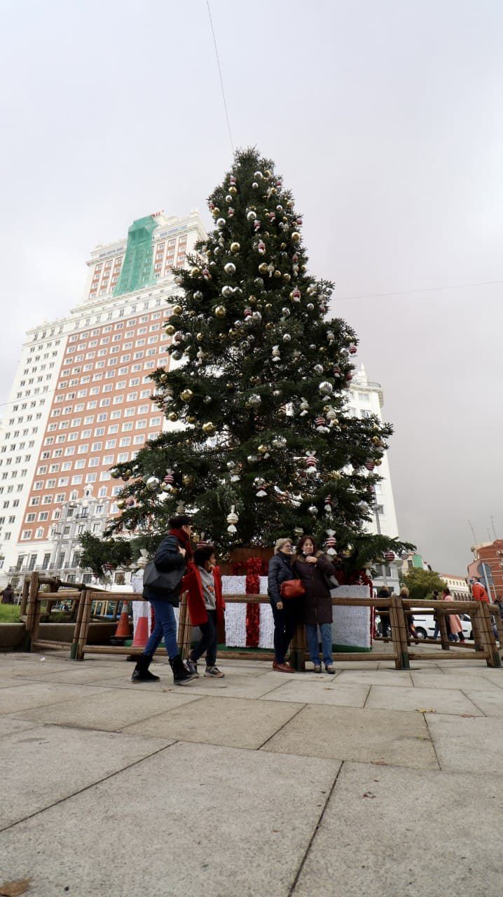 Abeto navideño en la Plaza de España