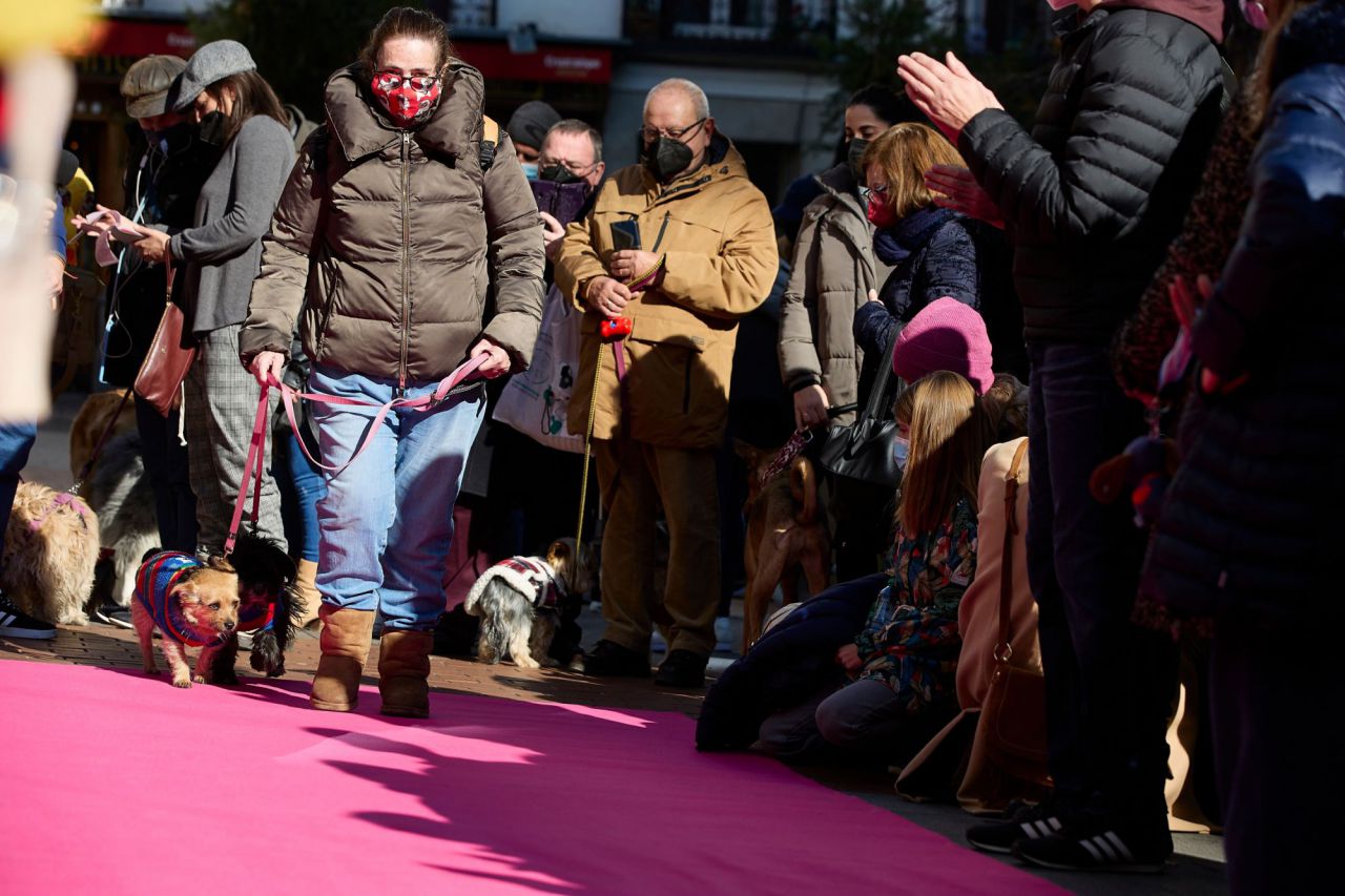 Desfile de mascotas en la plaza de Chueca durante las Fiestas de San Antón 2022