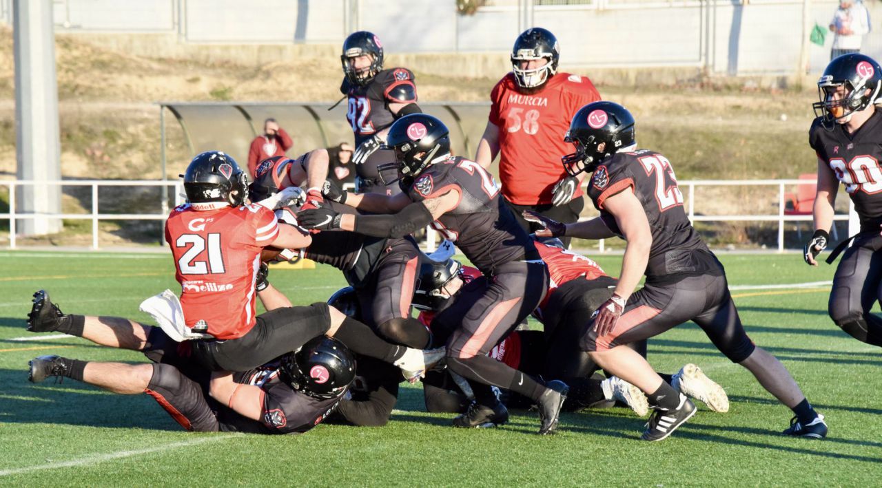 Partido de Cobras vs. LG OLED Las Rozas Black Demons