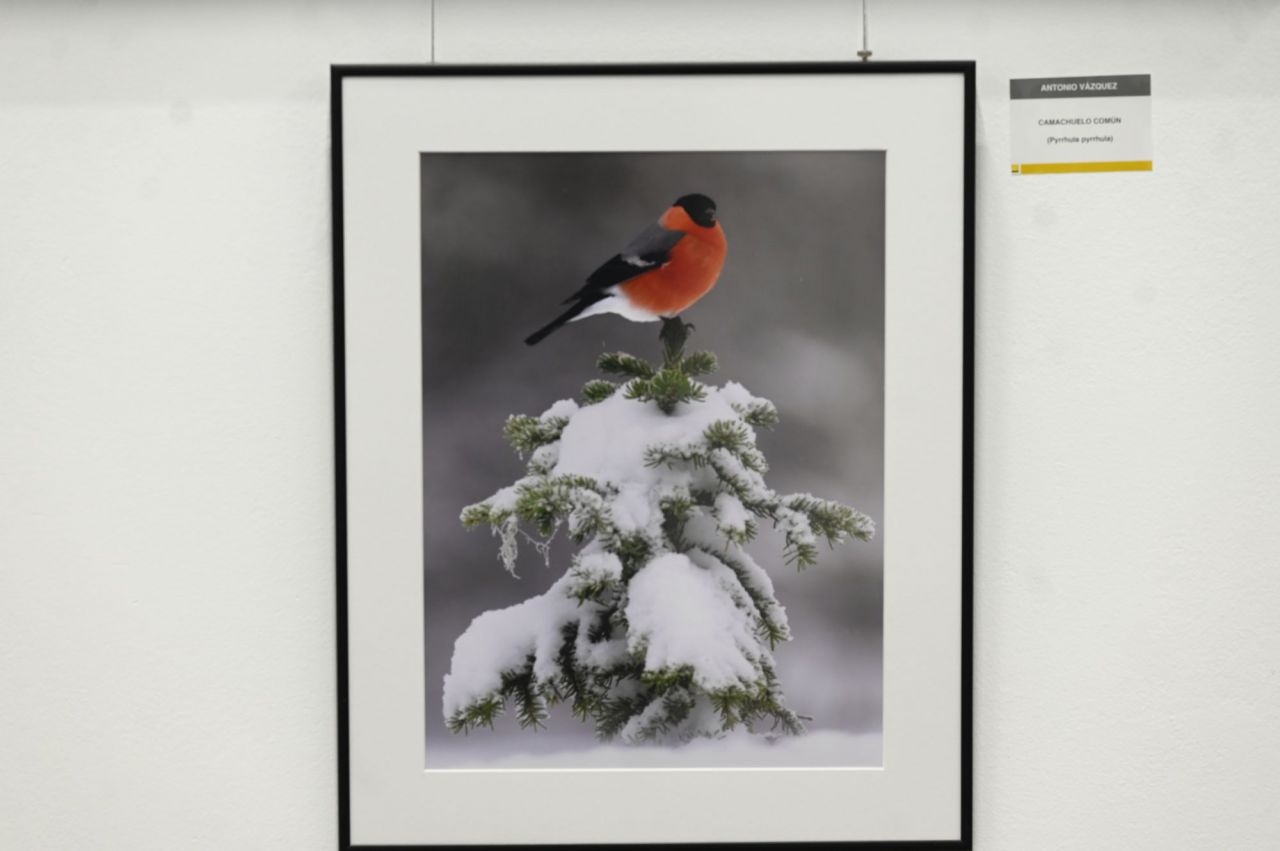 Fotografía de Antonio Vázquez 