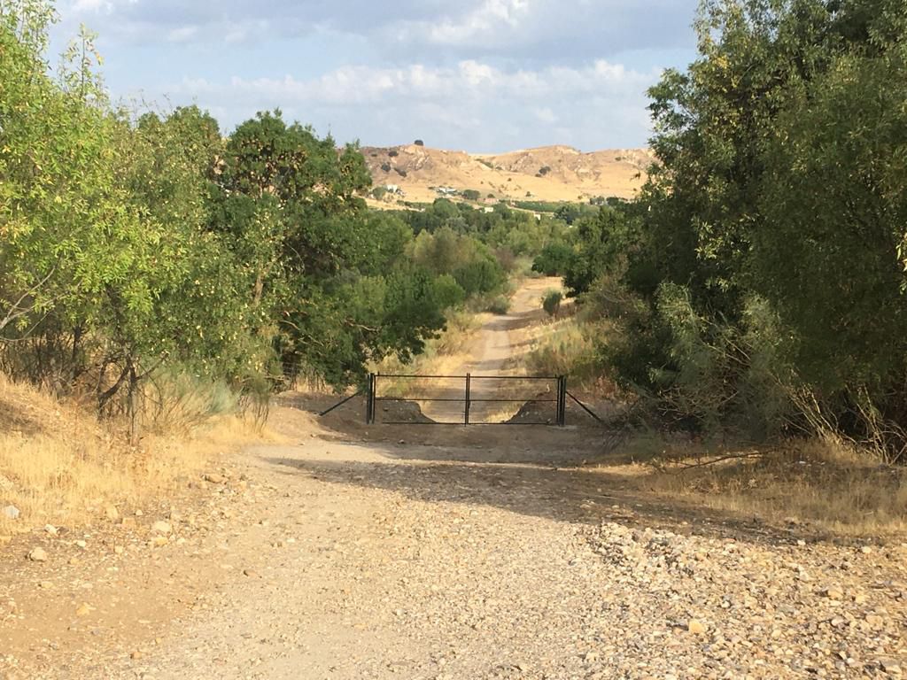 La zona de la futura granja de pistachos de Valdetorres de Jarama en la actualidad