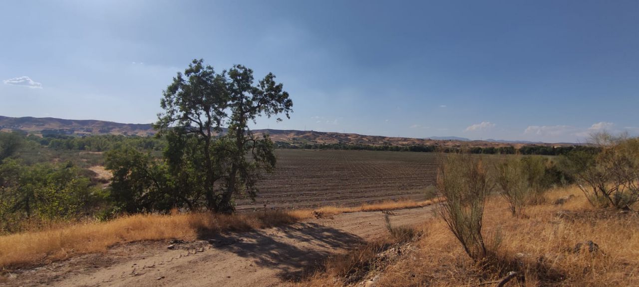 La zona de la futura granja de pistachos de Valdetorres de Jarama en la actualidad