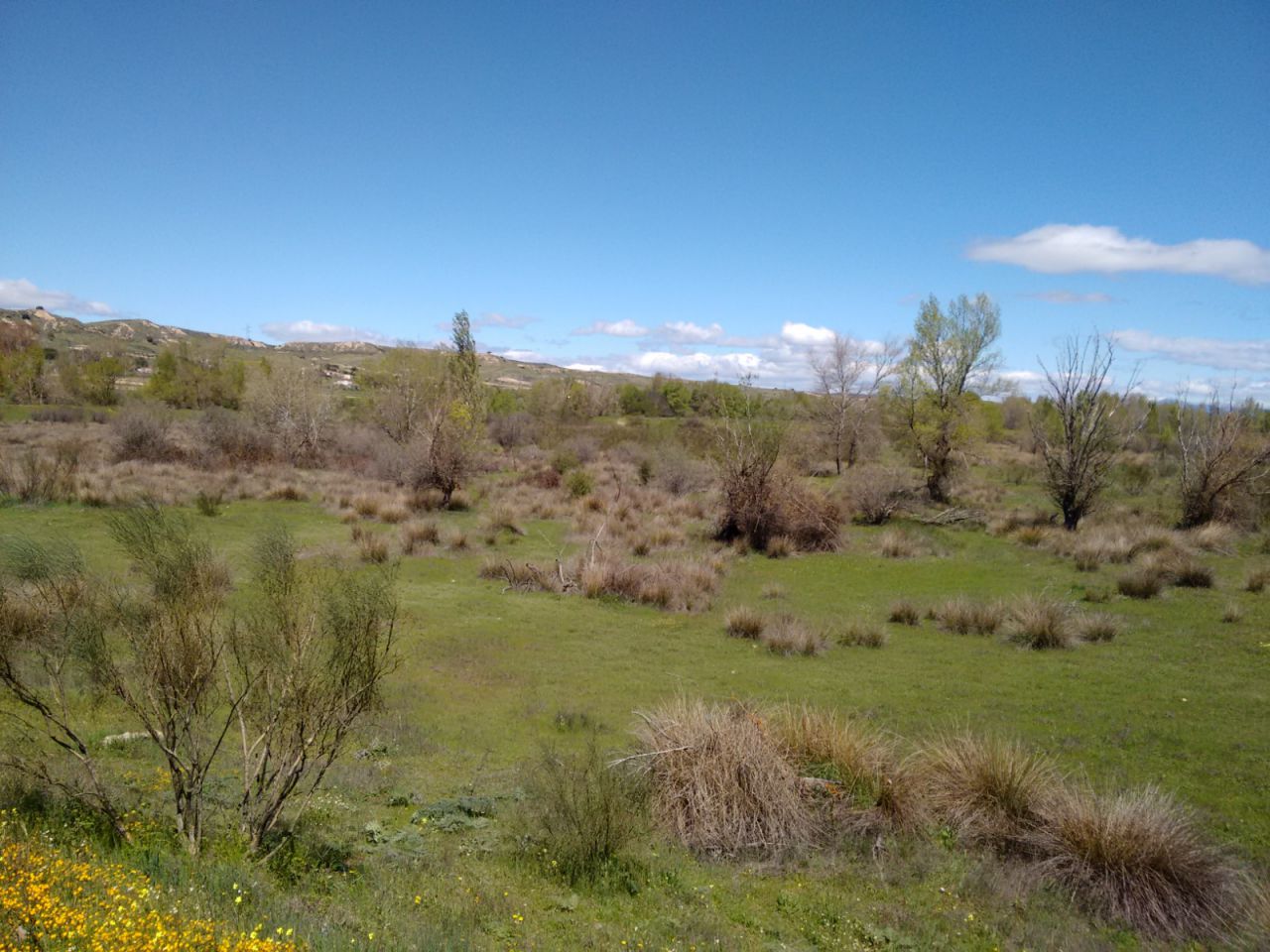 La zona de la futura granja de pistachos de Valdetorres de Jarama, antes del comienzo de la construcción