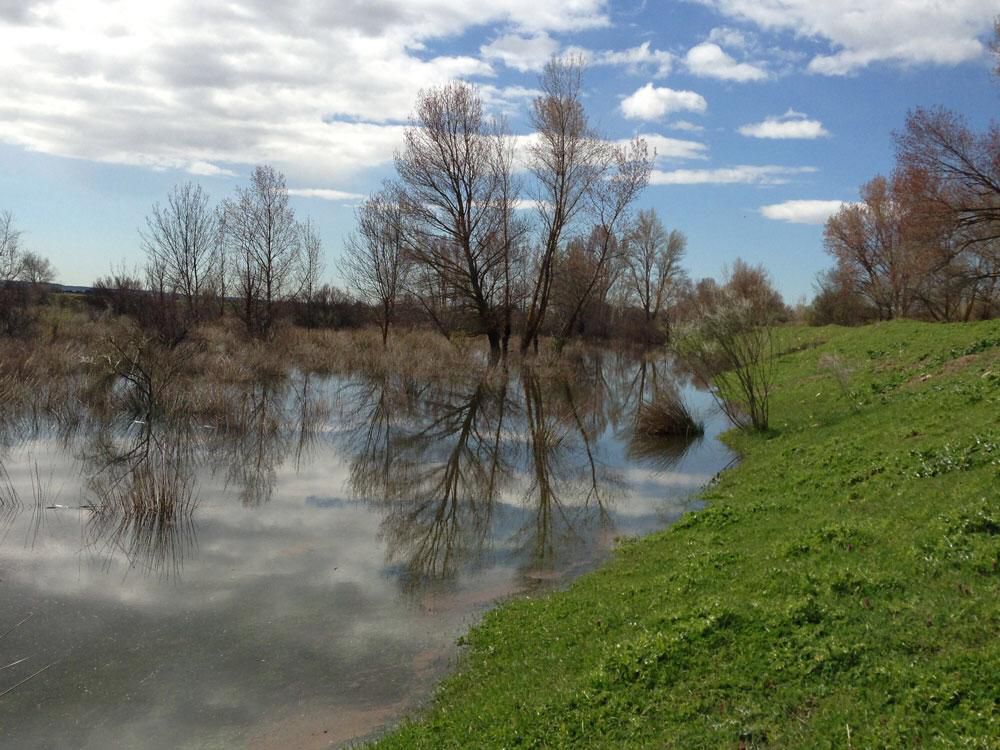 La zona de la futura granja de pistachos de Valdetorres de Jarama, antes del comienzo de la construcción
