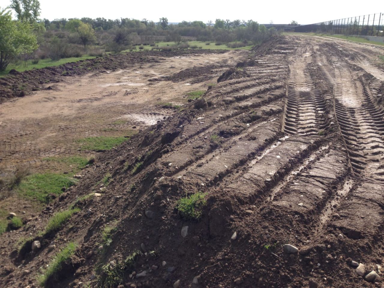 La zona de la futura granja de pistachos de Valdetorres de Jarama en la actualidad