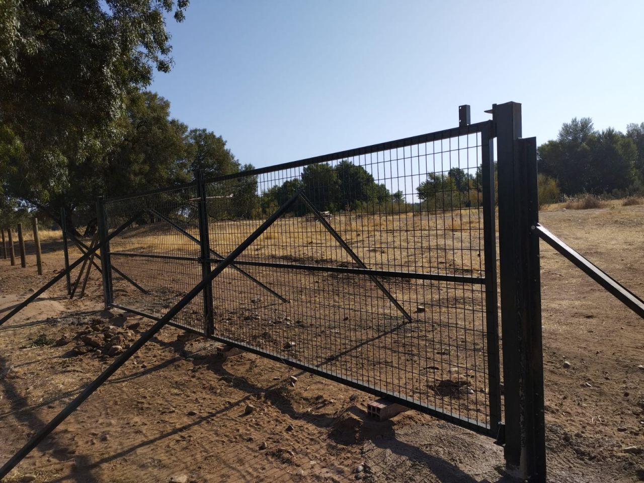 La zona de la futura granja de pistachos de Valdetorres de Jarama en la actualidad