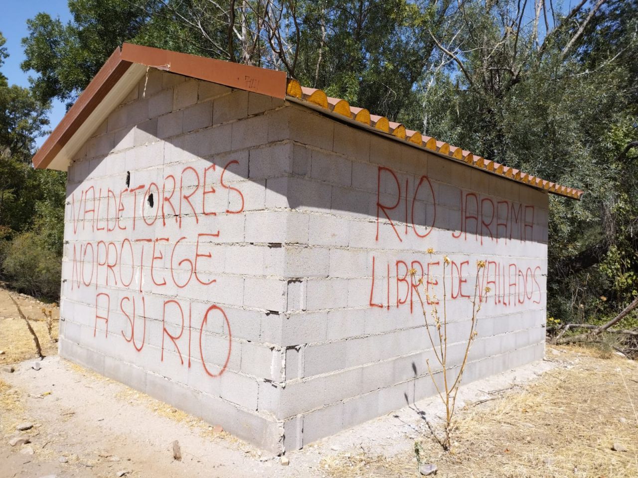 La zona de la futura granja de pistachos de Valdetorres de Jarama en la actualidad