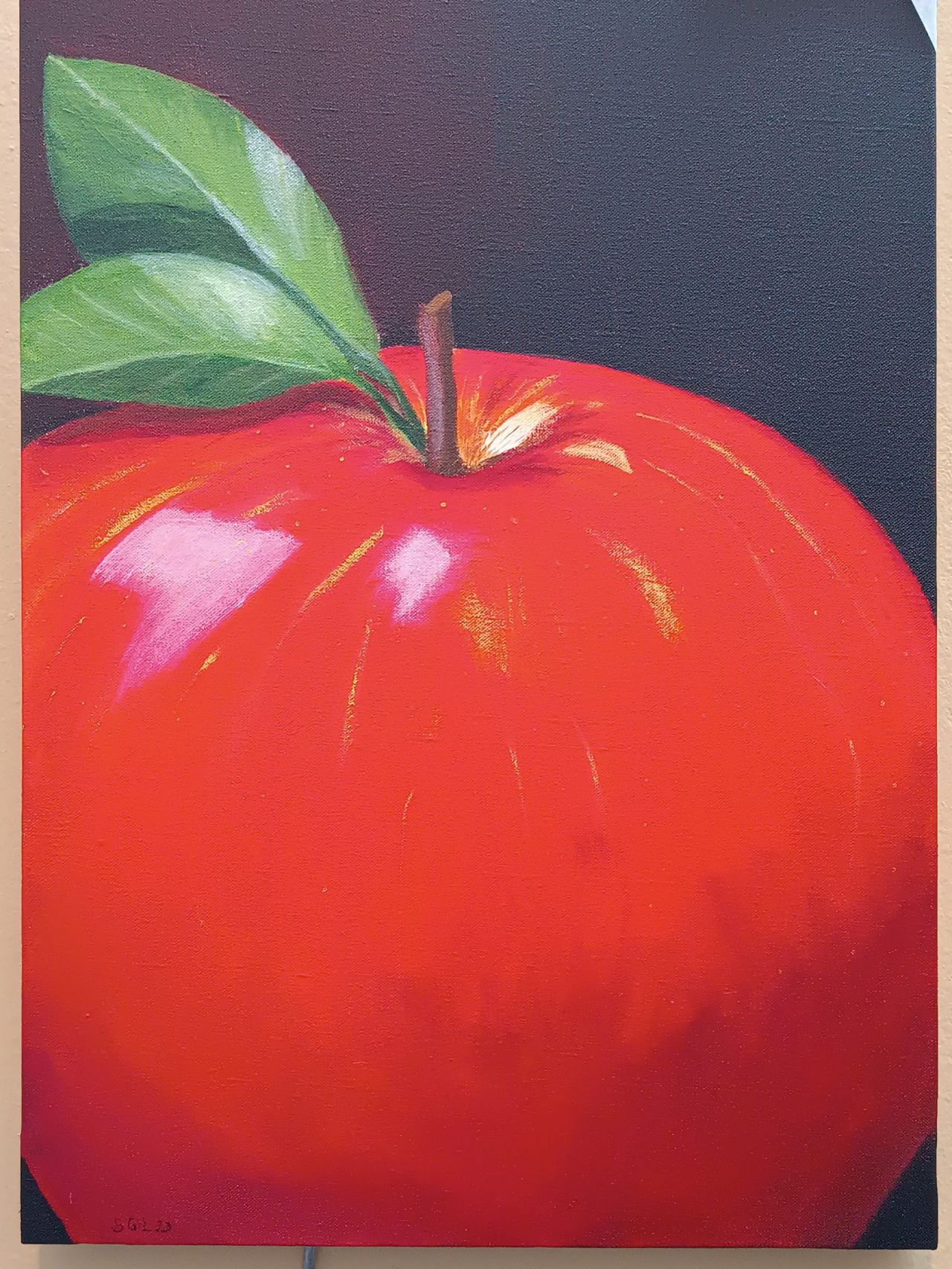 Dibujo de algunas de las 79 obras de 'Pintando en la cocina'