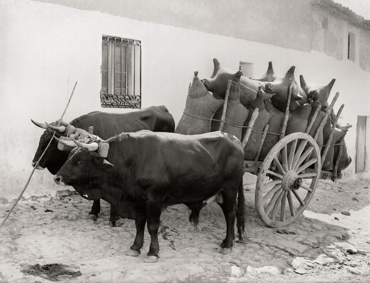 Otto Wunderlich, Carro de bueyes con pellejos de vino.