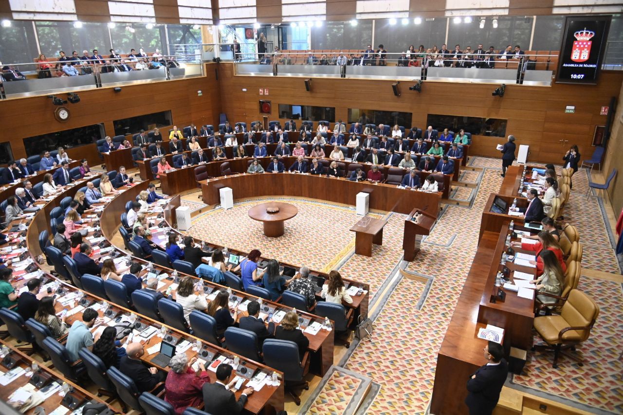 Pleno de la Asamblea de Madrid