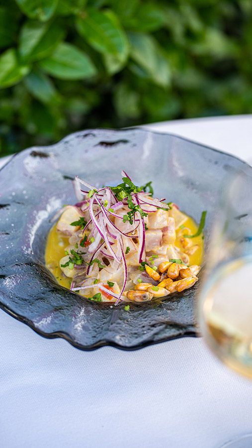 Ceviche de corvina salvaje y cítricos