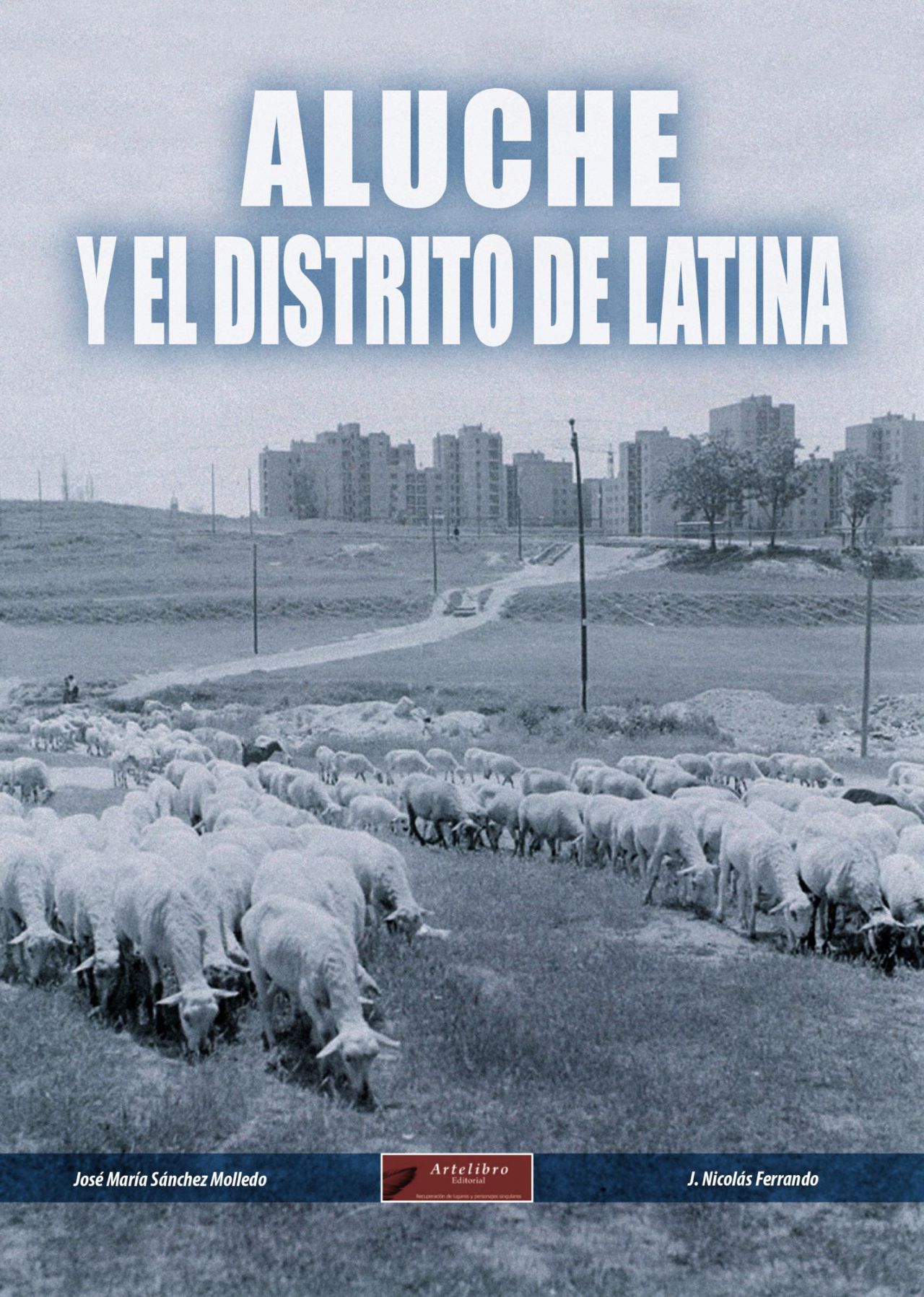Latina tiene el honor de ser el único distrito de Madrid que lleva el nombre de una mujer: Beatriz Galindo, escritora y humanista, profesora de Isabel la Católica, experta en latín y apodada por ello «La Latina». En Madrid es frecuente confundir el bohemio barrio de La Latina con el distrito de Latina, lo que supone una injusticia mayúscula tomando en cuenta que Latina, enclavado en la zona sur de la ciudad, es uno de los distritos más extensos (más de 2.500 hectáreas) y poblados (casi 250.000 habitantes) de la capital. En este libro recorremos la historia de sus barrios: Puerta del Ángel, Los Cármenes, Lucero-Batán, Aluche, Campamento, Las Águilas y Cuatro Vientos.

