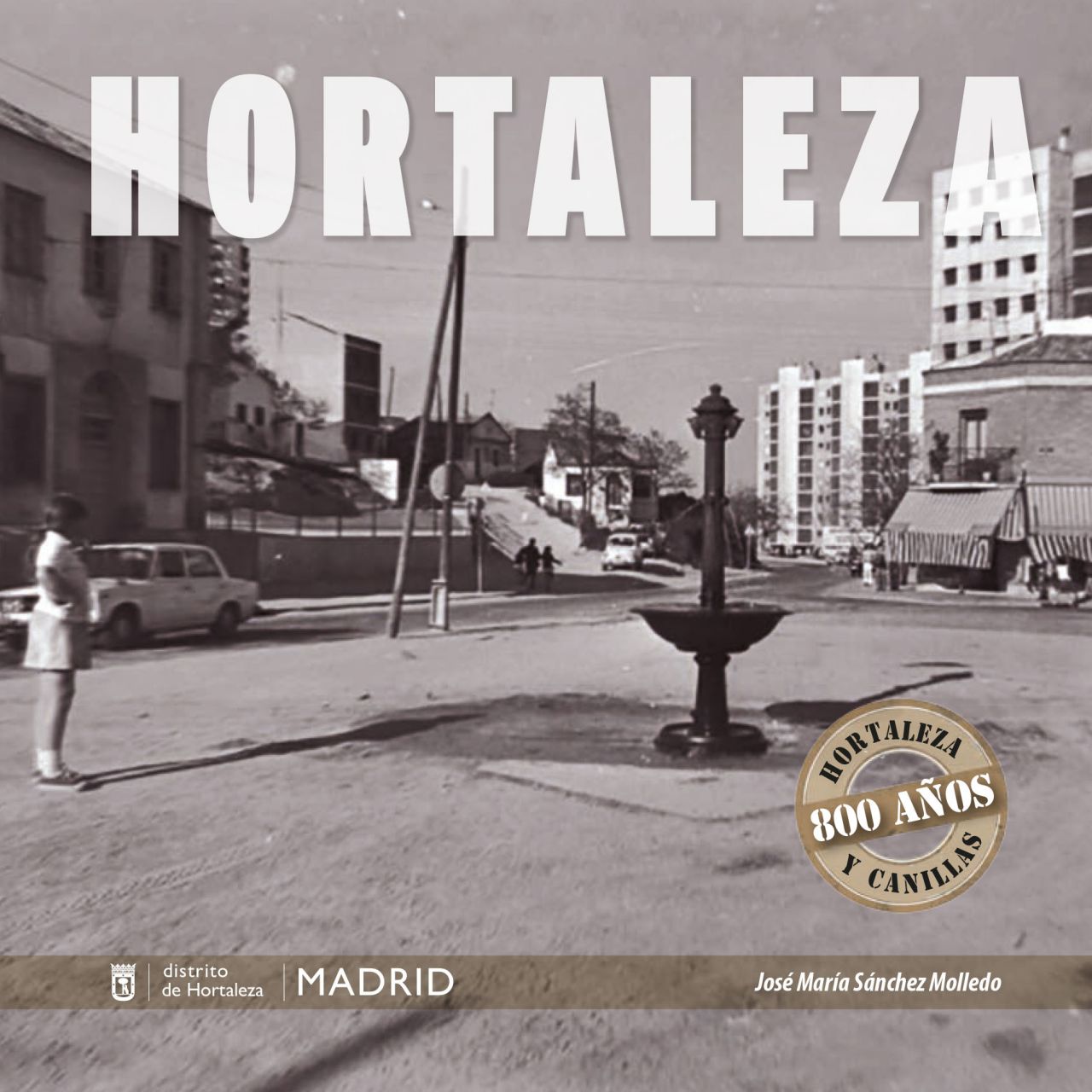 Este libro estudia la evolución de los que fueron dos municipios independientes cercanos a Madrid: Hortaleza y Canillas, que hoy forman parte del madrileño distrito de Hortaleza. En sus páginas el lector encontrará una descripción detallada de sus monumentos, sus esculturas y sus personajes ilustres. El texto se acompaña con abundante documentación gráfica, compuesta por más de doscientas fotografías antiguas que proceden de los principales archivos fotográficos: Archivo General de la Administración, Archivo Regional de la Comunidad de Madrid, Biblioteca Nacional y otros, así como de fotografías contemporáneas que ha realizado el autor en los años 2021 y 2022.

