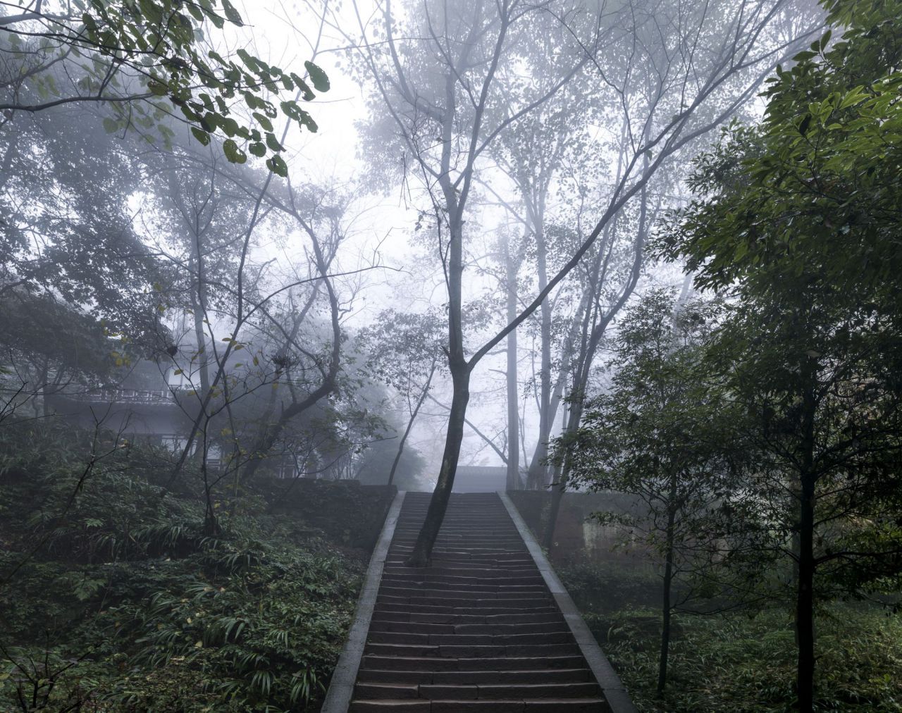 Subiendo el monte Tai, 2011